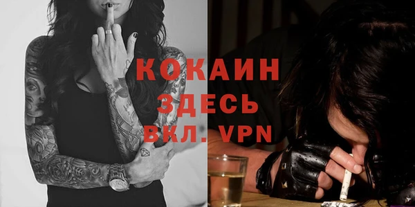 МДПВ Михайлов