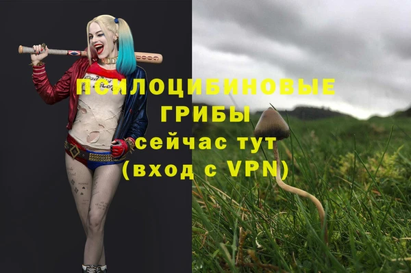 МДПВ Михайлов