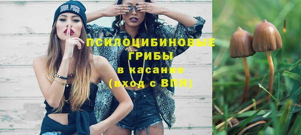 МДПВ Михайлов