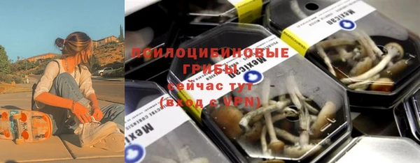 МДПВ Михайлов