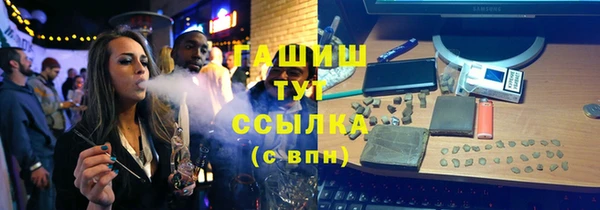МДПВ Михайлов