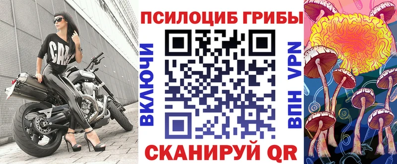 Псилоцибиновые грибы мицелий  Купить  Североморск 